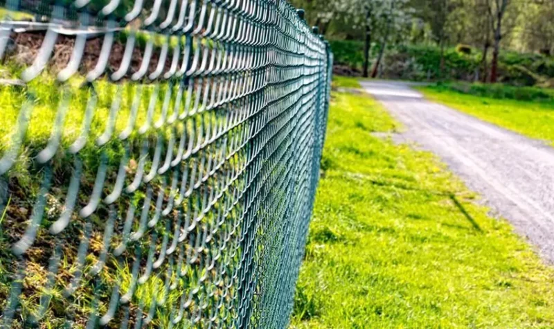 chain-link-fence-and-grass.jpeg-e1679912662667